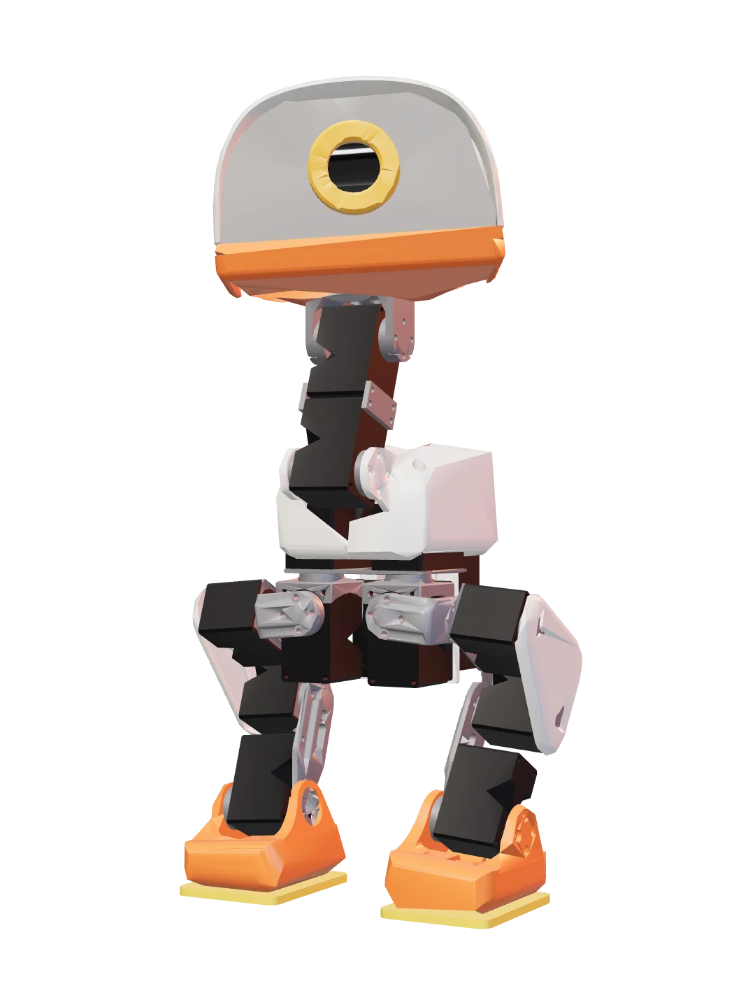 Duck (Anas mechanica)
